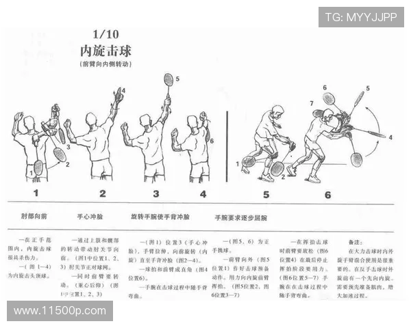 重庆羽毛球队的战术解析与训练模式深度剖析